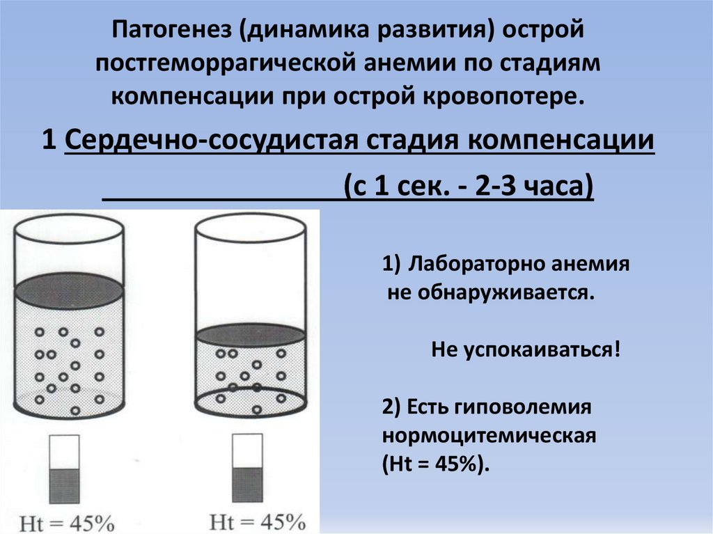 Картина крови при постгеморрагической анемии