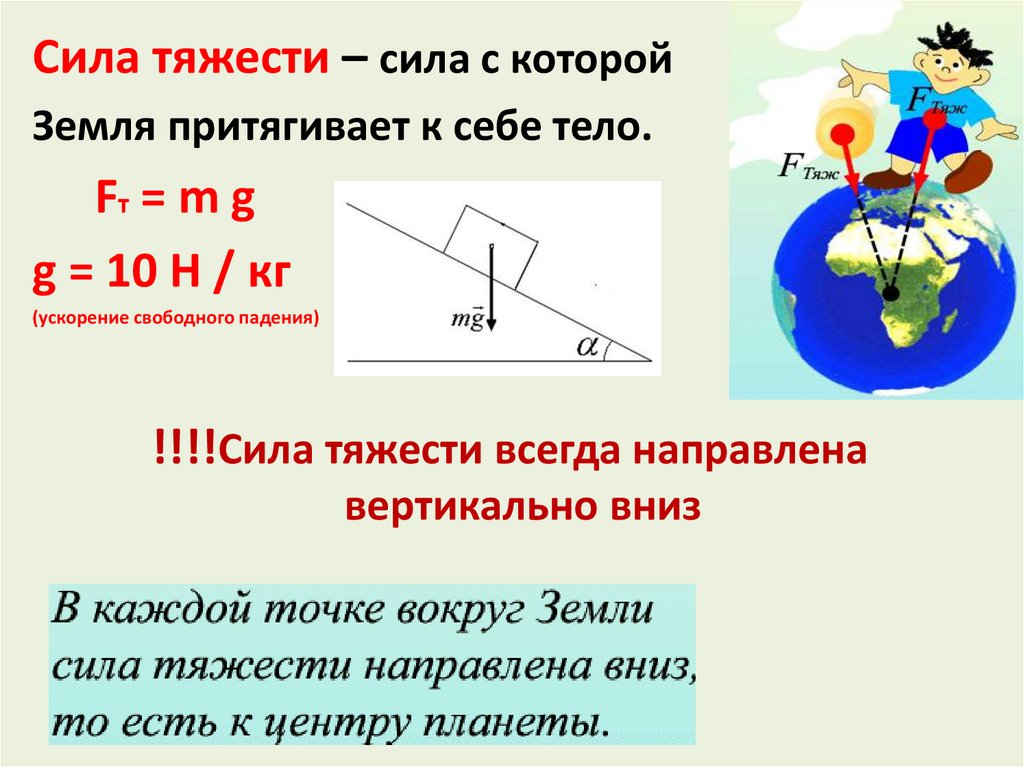 Сила с которой земля притягивает тела