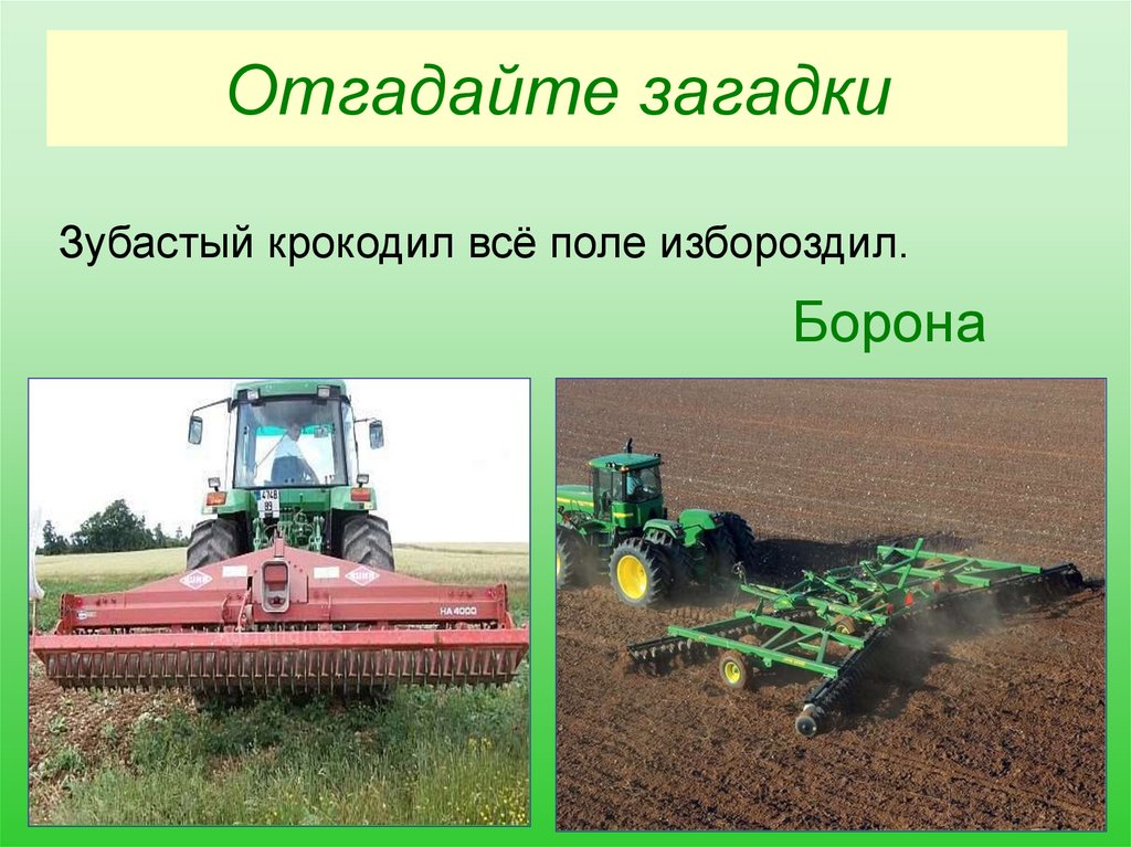 Отгадайте загадки