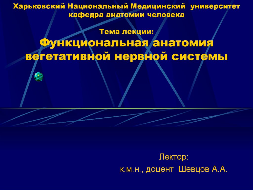 Функциональная анатомия вегетативной нервной системы презентация