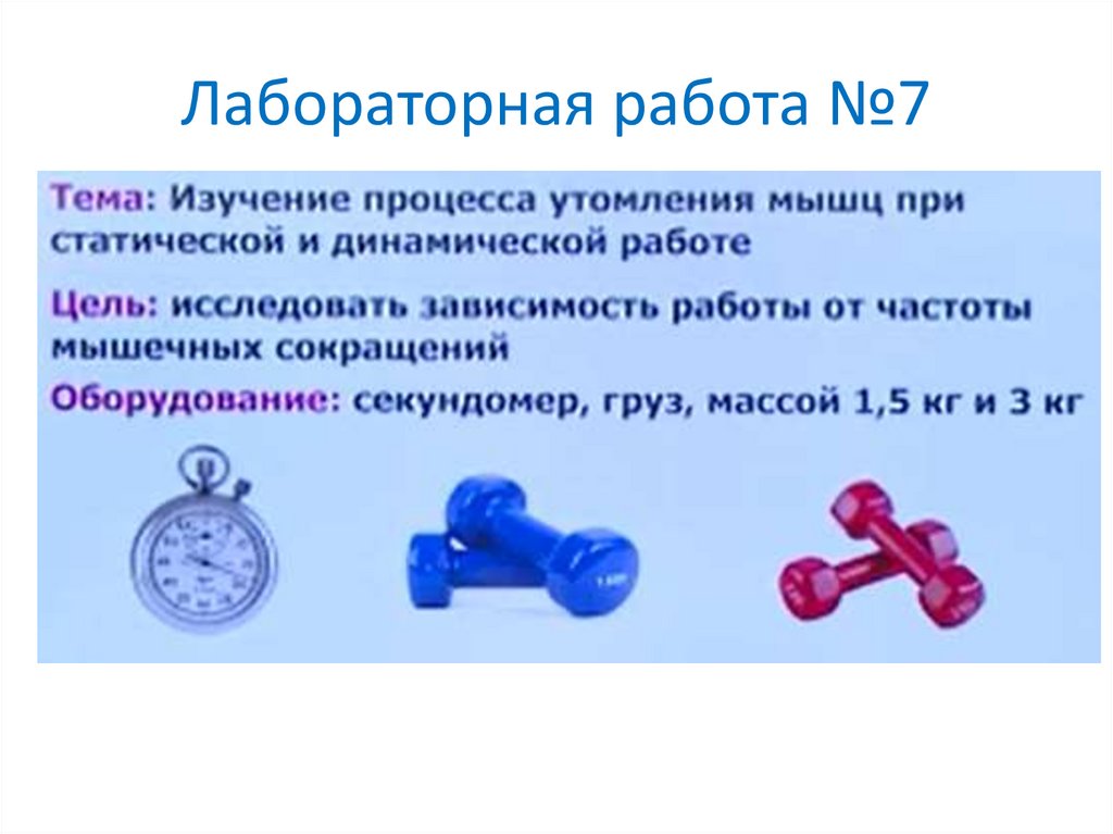 Лабораторная работа №7