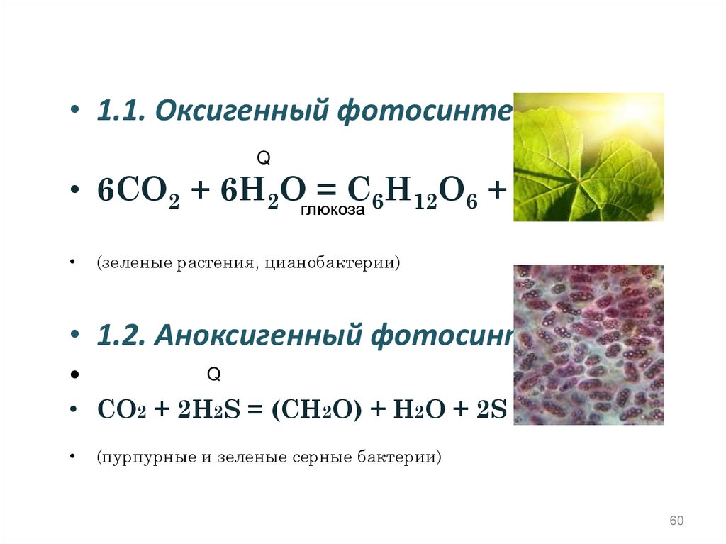 Хемосинтез источник. Хемосинтез формула. Хемосинтез таблица. Экологическая роль хемосинтеза. Уравнение хемосинтеза.