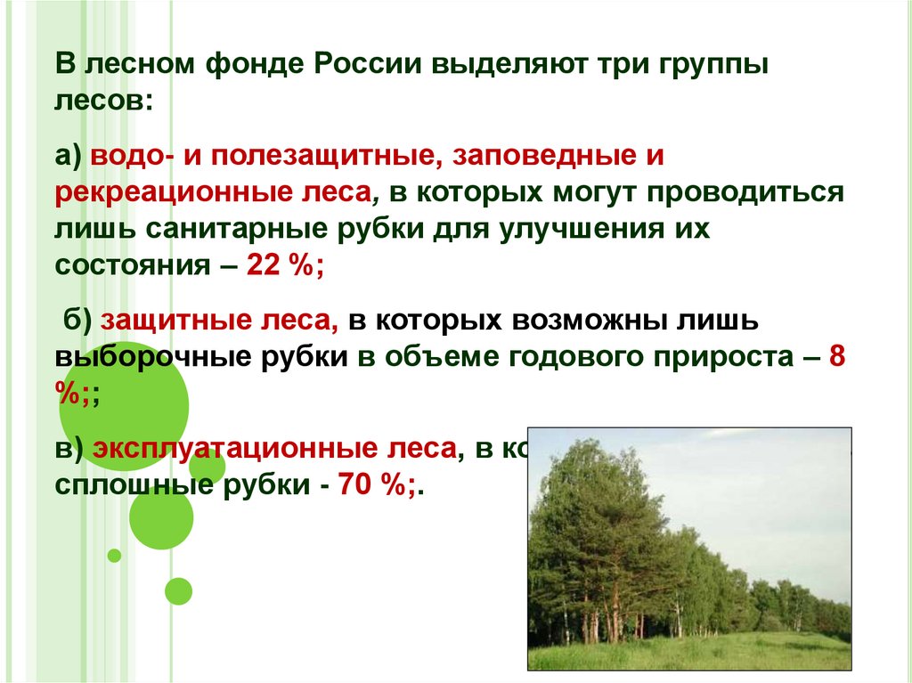 Три группы лесов. Состав лесного фонда России 3 группы. В Лесном фонде России выделяют 3 группы. Лесной фонд РФ группы. В составе лесного фонда России выделяют 3 группы лесов.