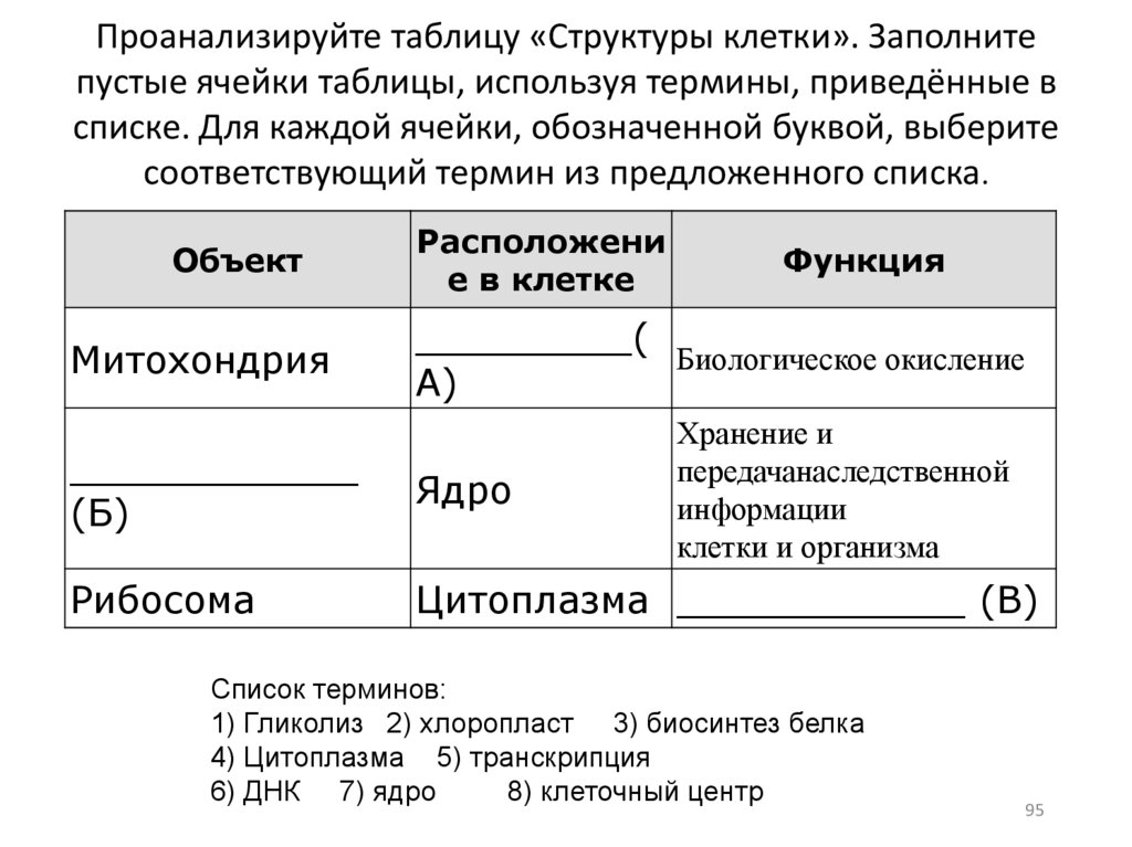 Презентация - Социальные отношения - Социальная стратификация