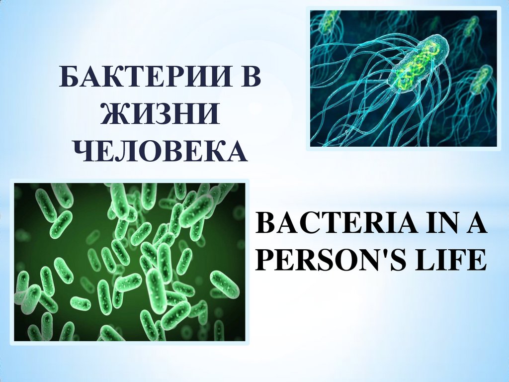 Бактерии в жизни человека - презентация онлайн