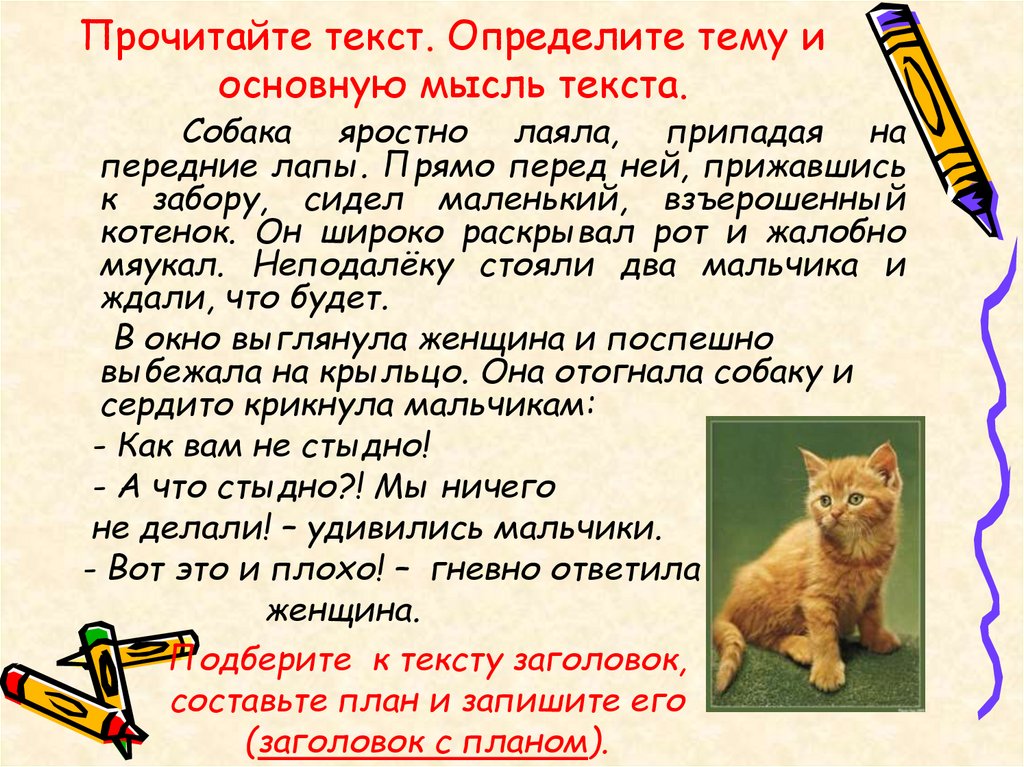 Пословицы про кота. Пословицы и поговорки про котов. Поговорки про кошек. Пословицы о котах.