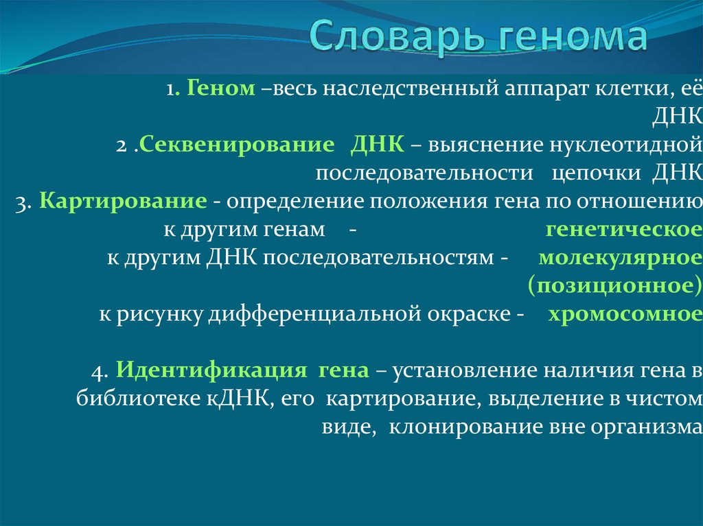 Организация и эволюция ядерного генома презентация