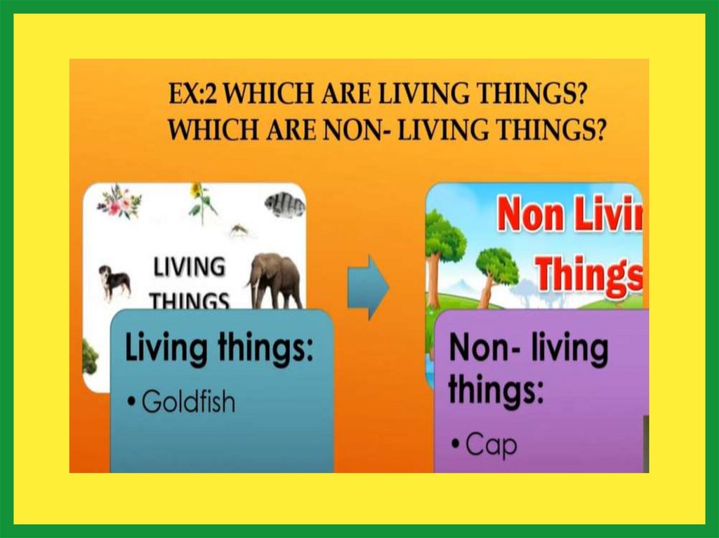 Living non living Things 