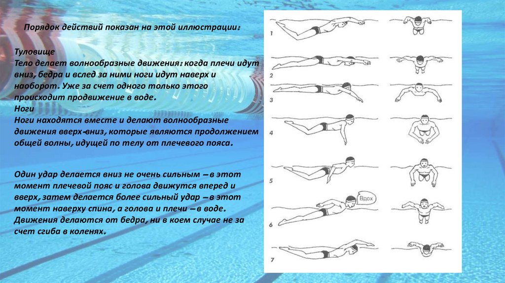 Пути купание. Техника плавания. Баттерфляй плавание техника. Техника плавания кролем на груди. Анализ техники плавания.