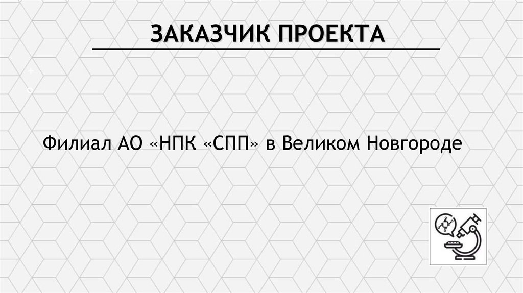 ЗАКАЗЧИК ПРОЕКТА