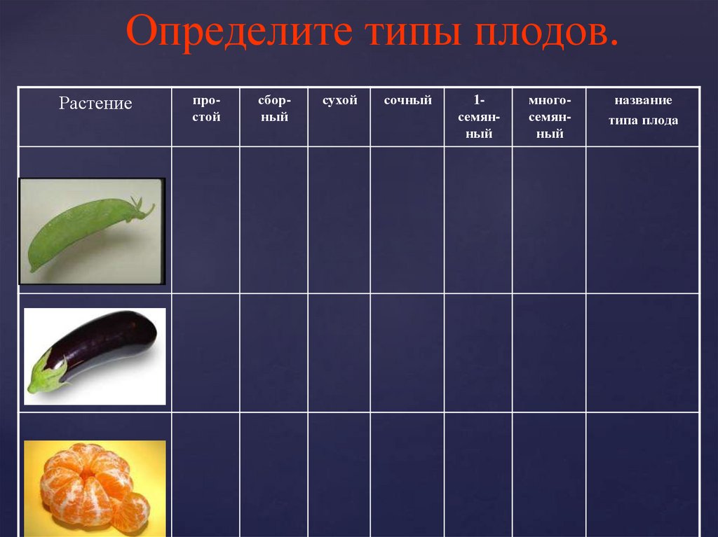 Как отличить плод. Таблица Тип плода. Определите типы плодов. Типы плодов растений. Типы плодов растений таблица.