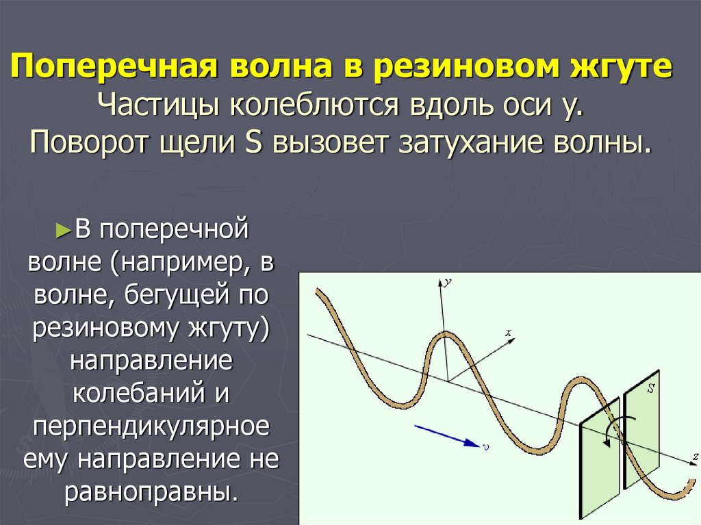 График поперечной волны