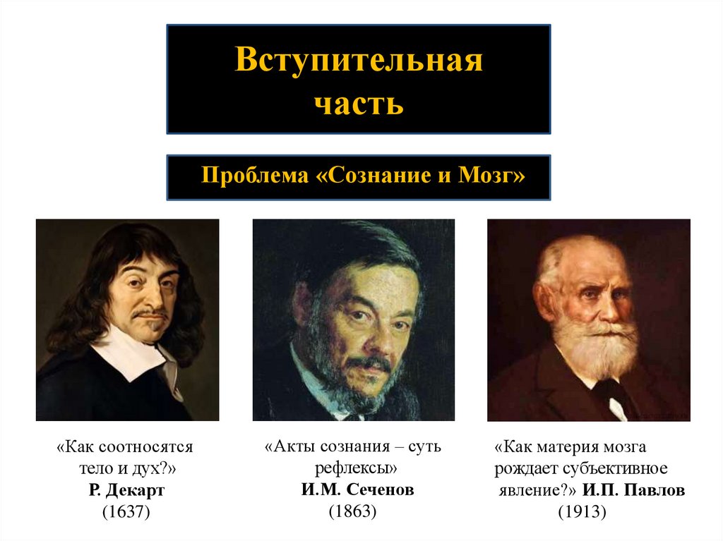 Сознание и мозг - online presentation