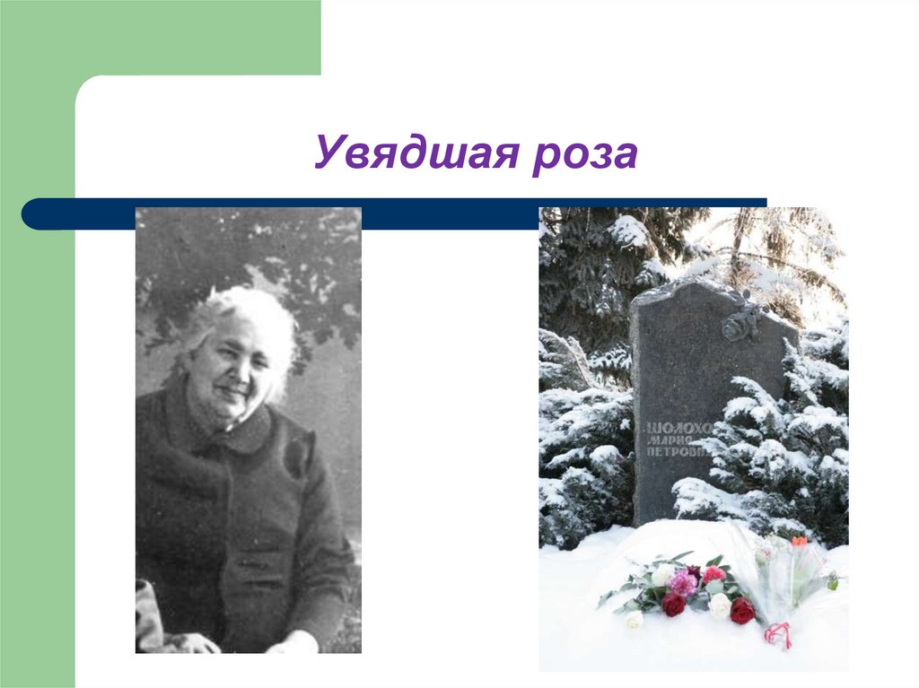 Увядшая роза