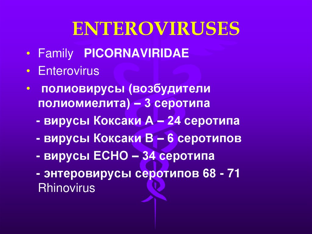 Enteroviruses classification. Для энтеровирусной инфекции характерны