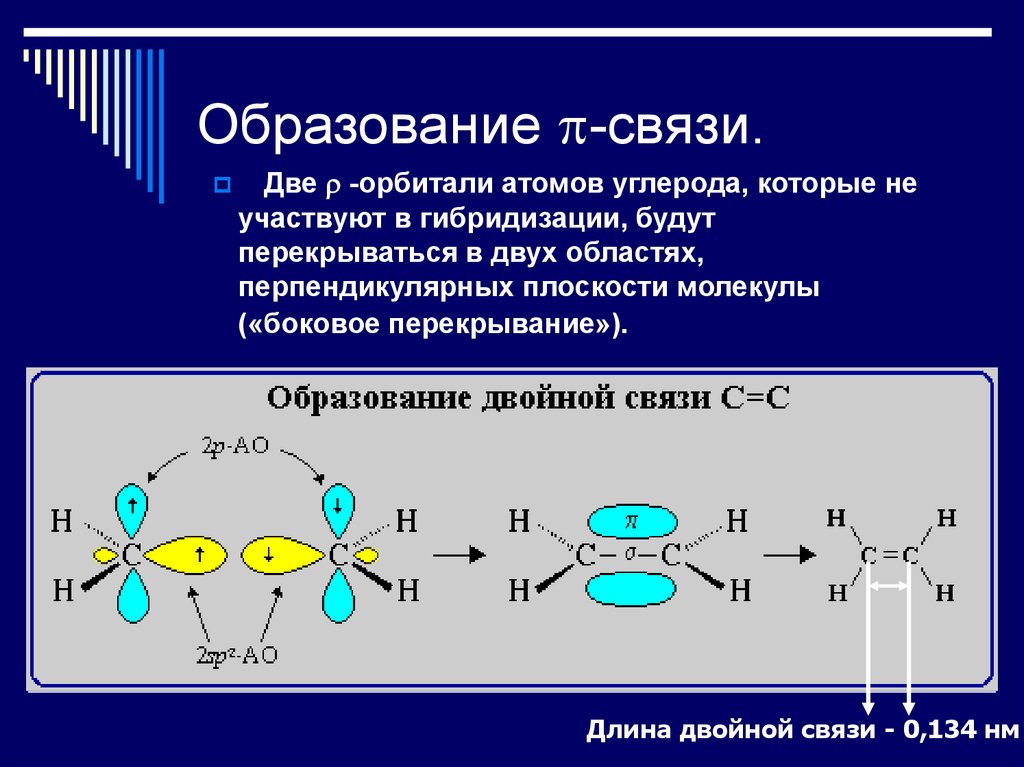 Этилен гибридизация атома углерода. Механизм образования двойной связи со2. Образование связи. Связи между атомами углерода. Образование двойной связи.