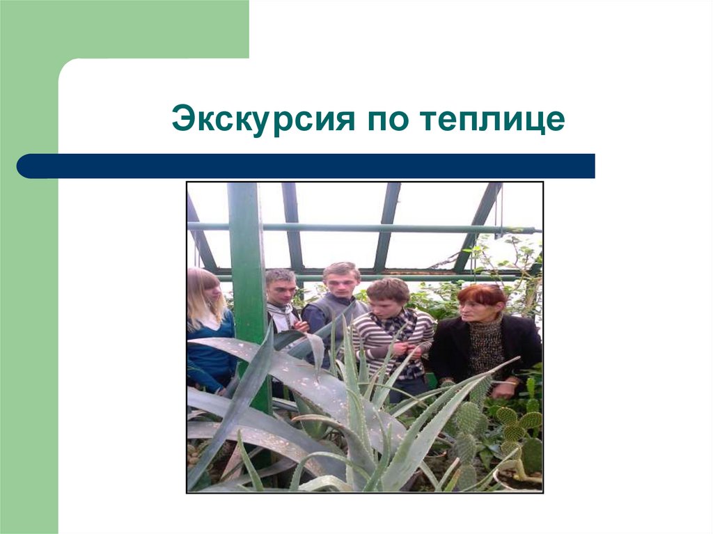 Экскурсия по теплице