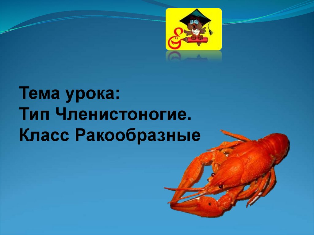 Тест по биологии ракообразные 8 класс. Тип Членистоногие класс ракообразные. Биология 7 класс Тип Членистоногие класс ракообразные. Биология 7 класс Членистоногие класс ракообразные. Тип Членистоногие класс ракообразные презентация 7 класс.