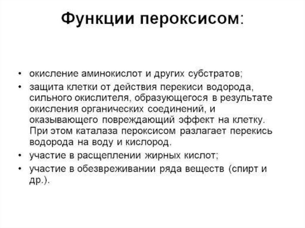 15 функций. Пероксисомы функции. Пероксисома функции. Пероксисомы строение и функции. Пероксисомы особенности строения.