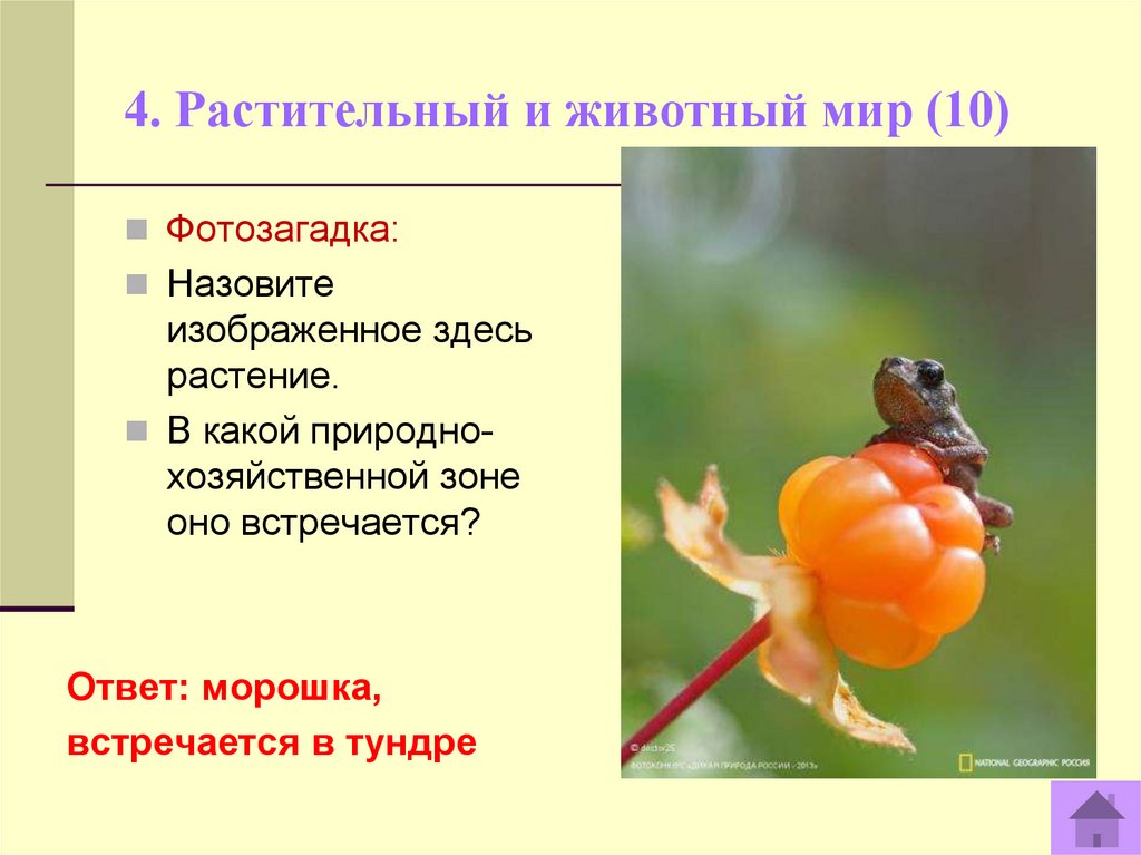 4. Растительный и животный мир (10)