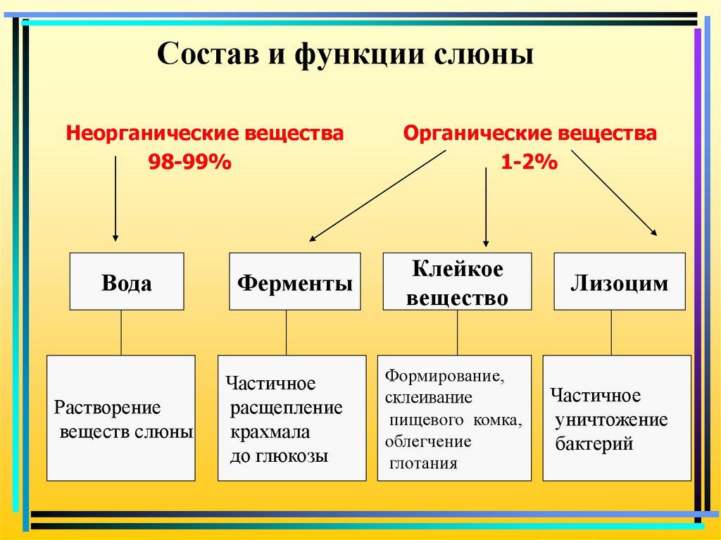 Неорганические вещества работа. Пищеварительная функция слюны. Перечислите функции слюны. Функции слюны функции слюны. Функции компонентов слюны.