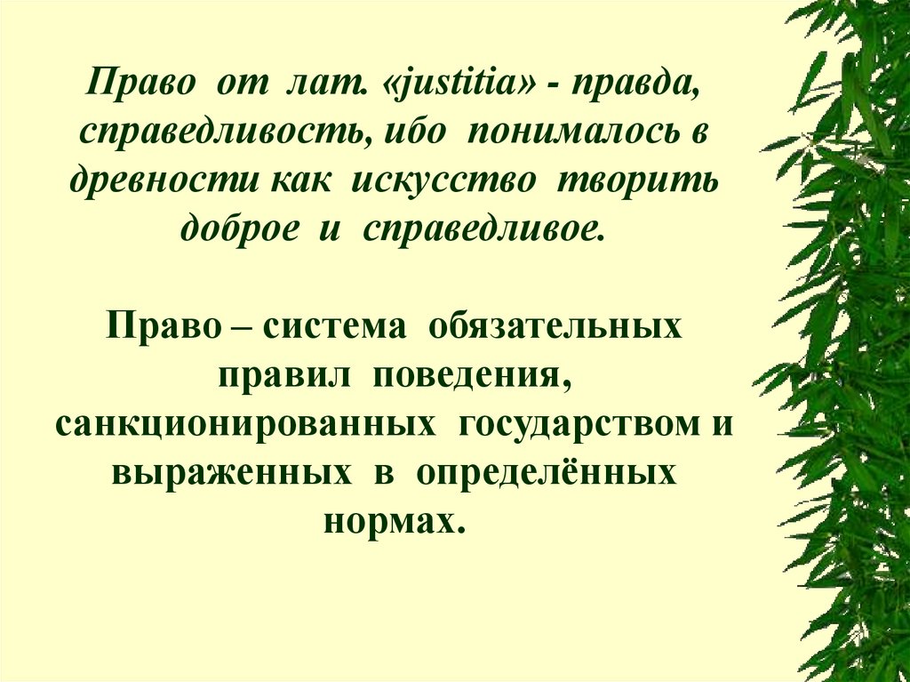 Презентация про человека пример