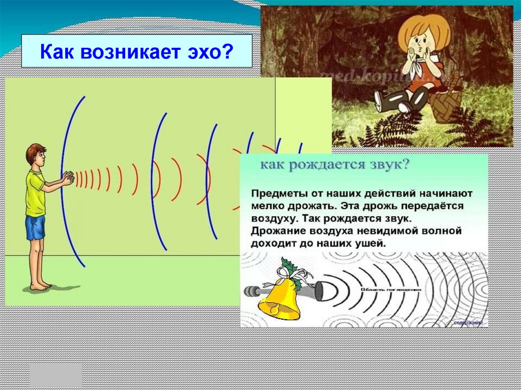 Звуки волн для детей. Схема распространения звука. Звуковые волны в природе. Звуковые волны Эхо. Как возникает звук.
