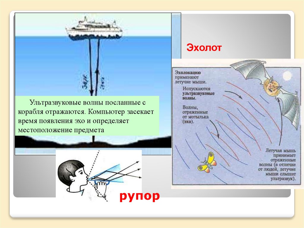 Отражение звуковых волн от преград это