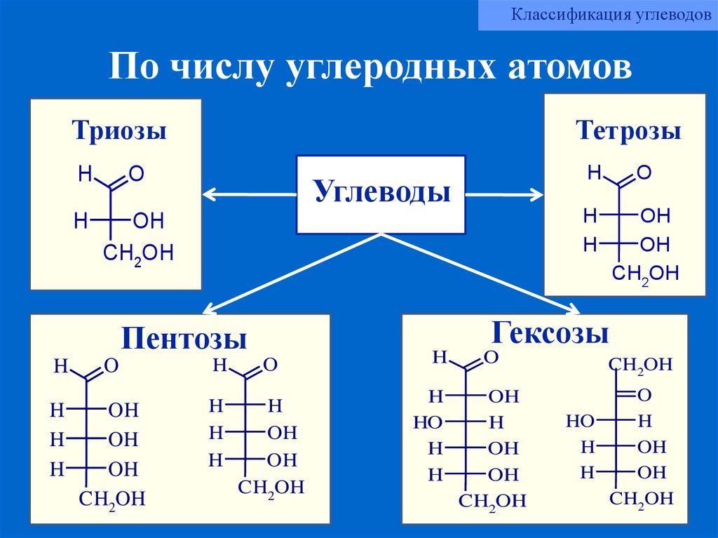 Глюкоза класс соединений. Моносахариды триозы тетрозы. Моносахариды пентозы формула. Моносахариды триоза тетроза пентоза гексоза. Строение триозы пентозы гексозы.