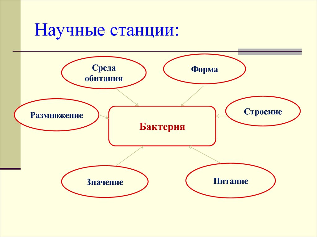 Перечислите места