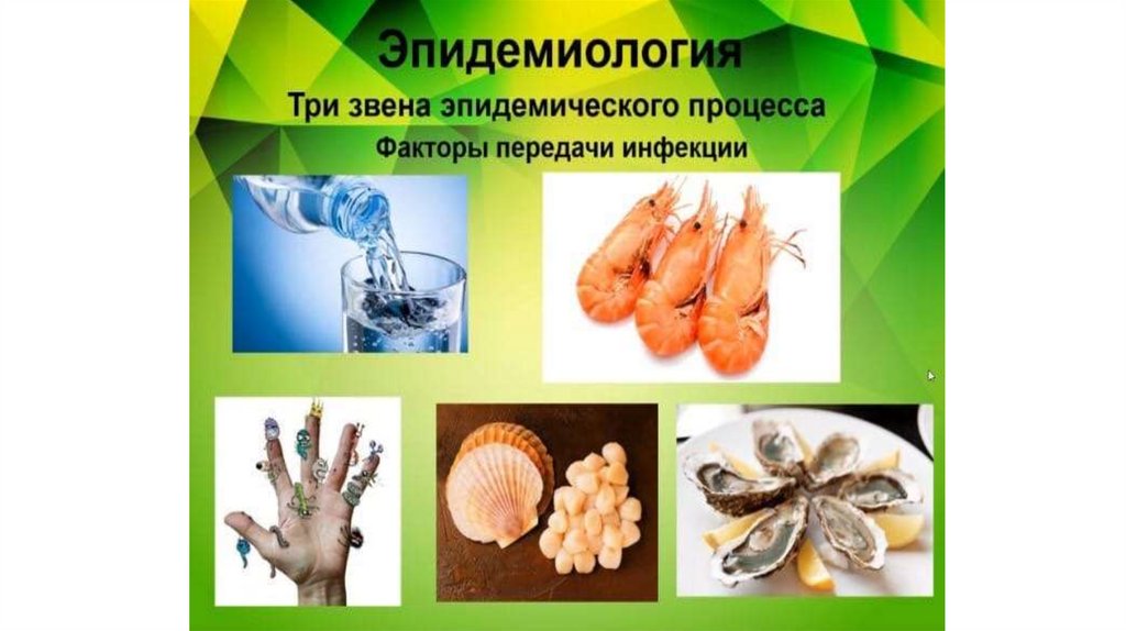 Брюшной тиф - презентация онлайн
