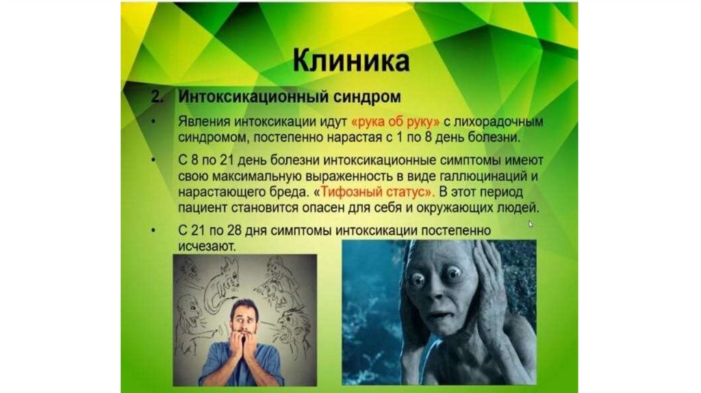 Брюшной тиф - презентация онлайн