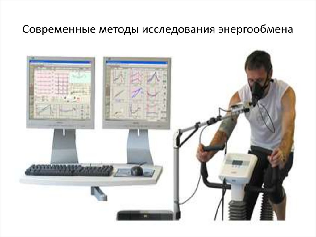 Современные методы исследования энергообмена
