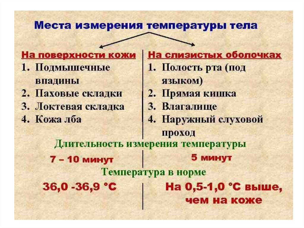 Мерить температуру во рту или подмышкой. Места измерения температуры. Определение температуры тела. Места измерения температуры тела. Измерение температуры на слизистых.