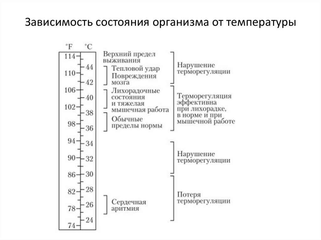 Зависимость состояния организма от температуры