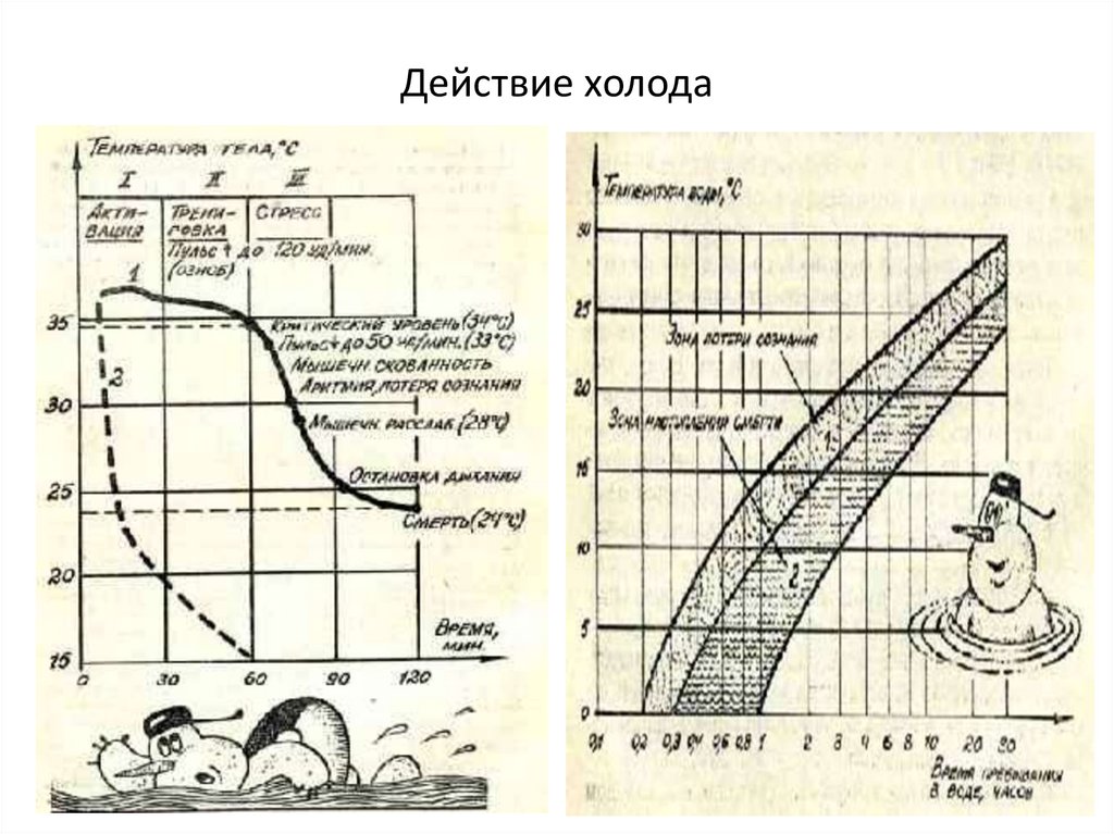 Действие холода