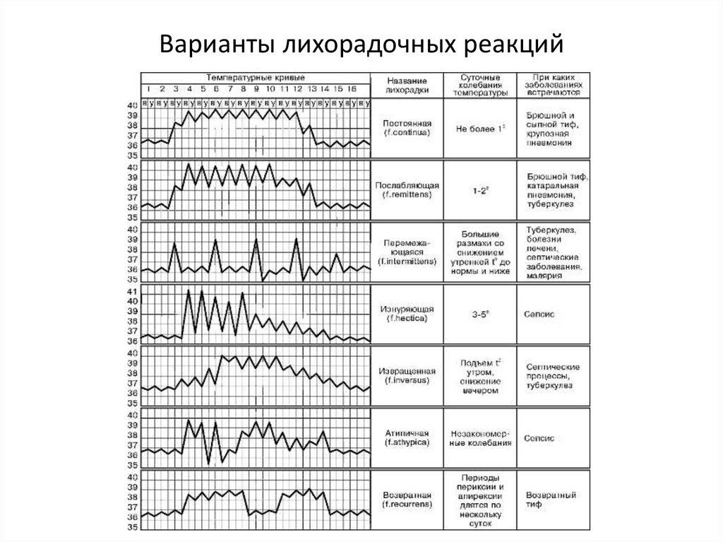 Варианты лихорадочных реакций