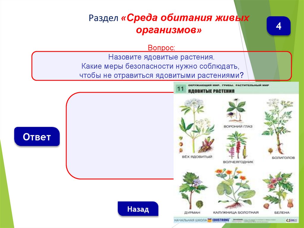 Тест 5 класс среды обитания живых организмов. Среда обитания растений. Растения обитающие в живых организмах. Среды обитания проверочная работа. Растения по среде обитания.