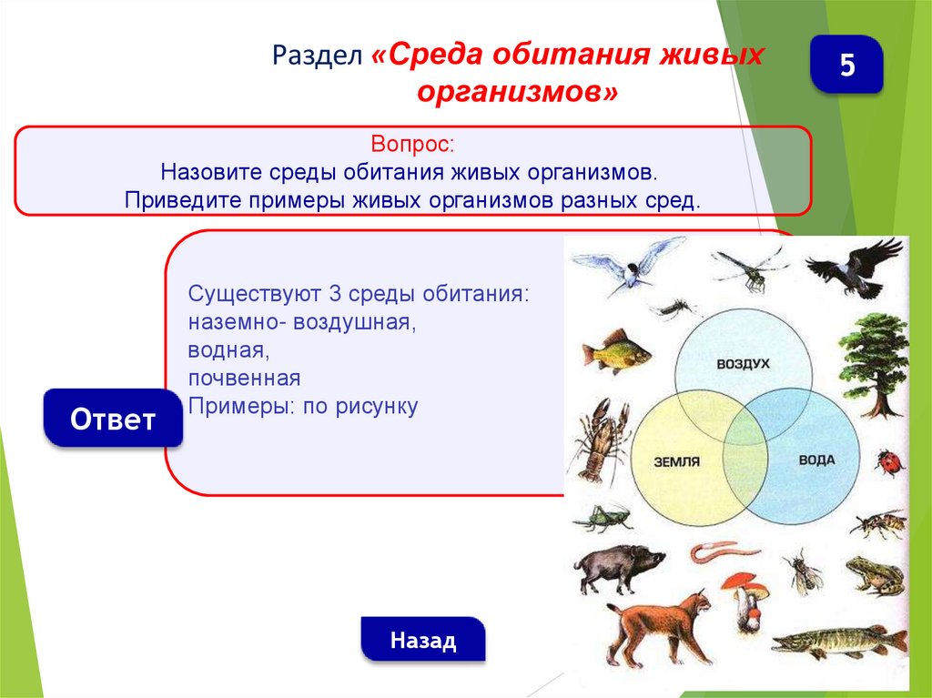 Тест 5 класс среды обитания живых организмов