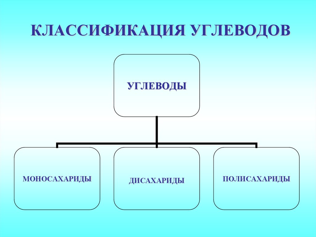 Классификация углеводов