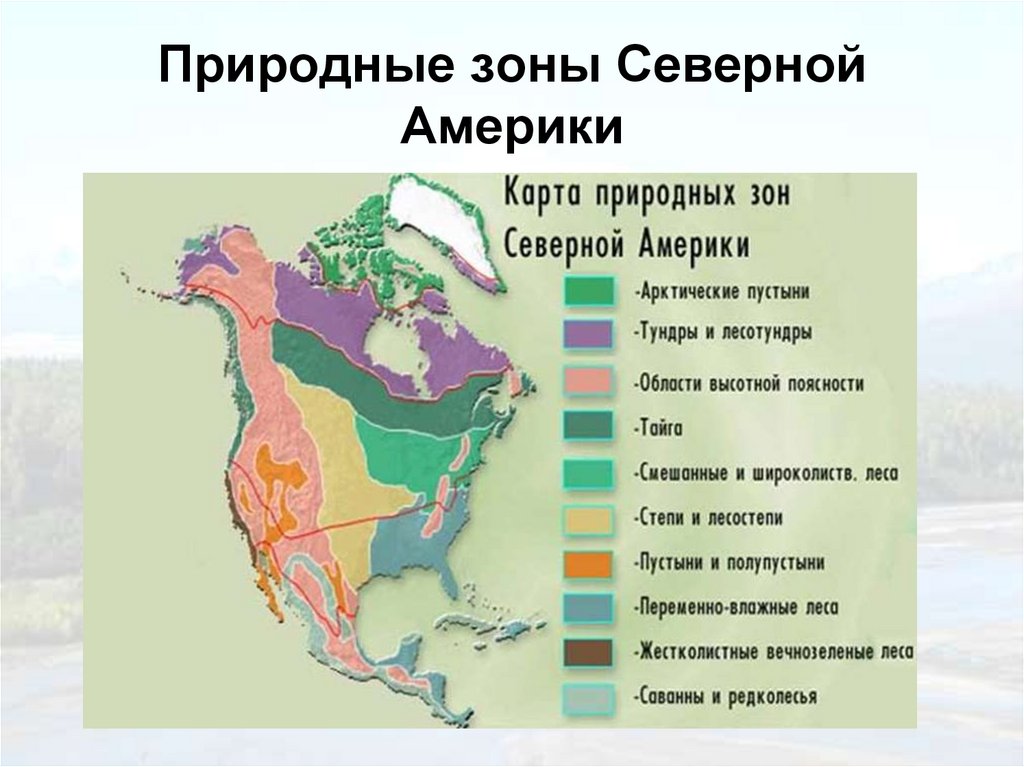 Климат природных зон северной америки таблица