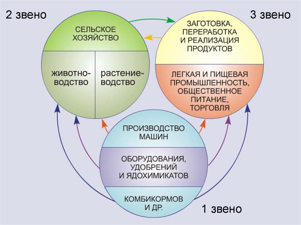 Система заготовок сельскохозяйственных. Схема агропромышленного комплекса России. Структура агропромышленного комплекса России. Схема состав агропромышленного комплекса России. Схема агропромышленный комплекс Растениеводство.