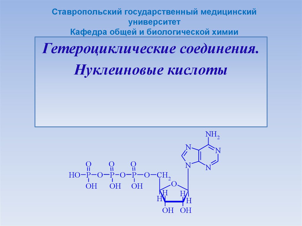Азотсодержащие гетероциклические соединения. Гетероциклические Амины. Гетероциклические аминокислоты. Гетероциклические соединения аминокислот.
