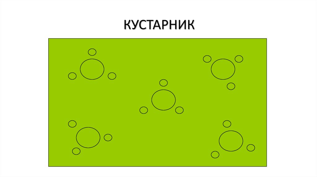 КУСТАРНИК