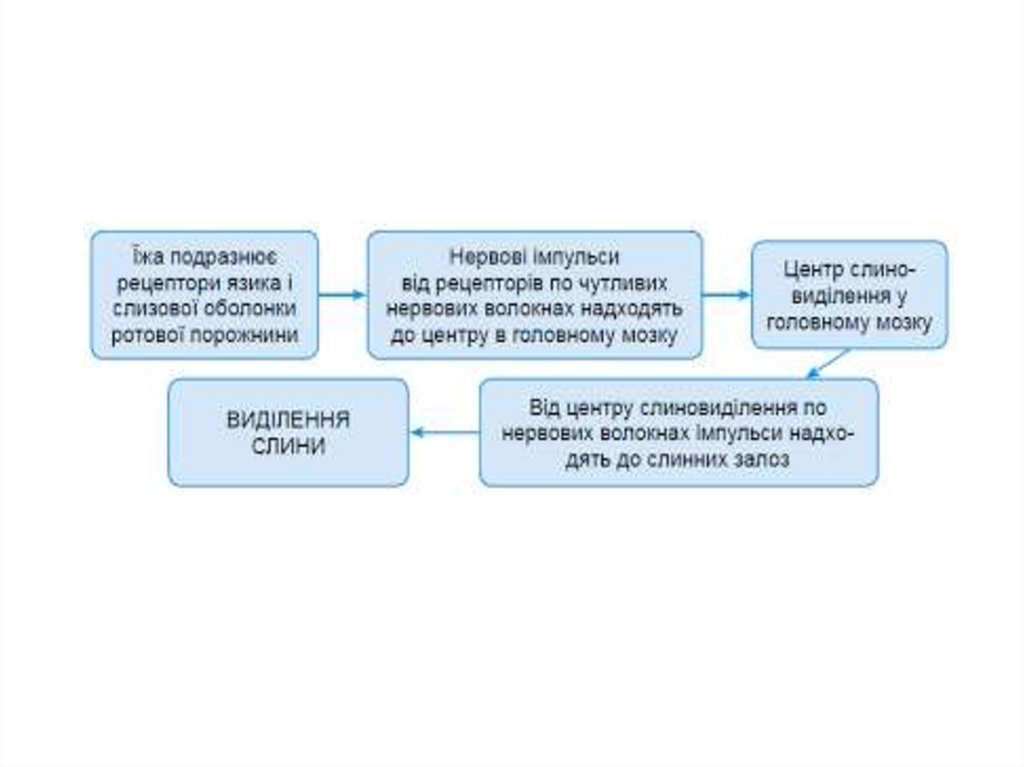 Травлення в ротовій порожнині - презентация онлайн