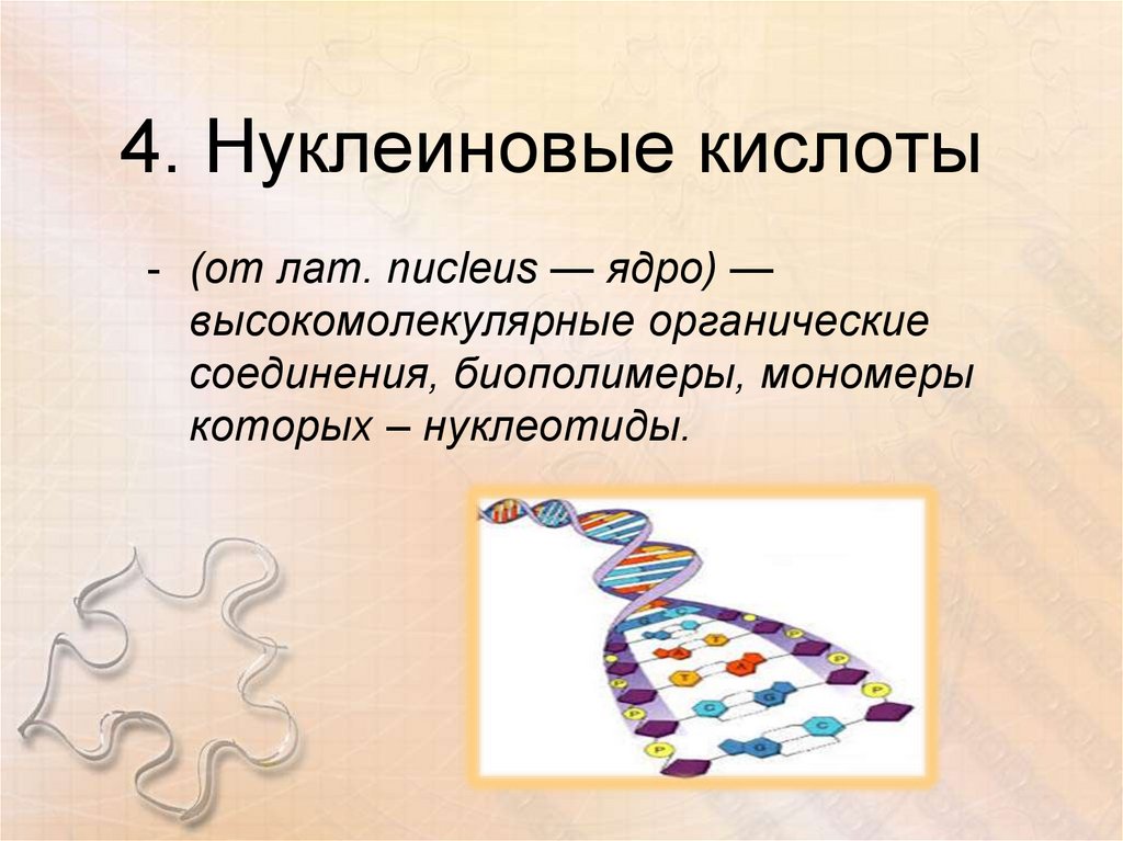 Нуклеиновые кислоты образуются. Нуклеиновые кислоты биология 9 класс. Нуклеиновые кислоты определение. Нуклеиновые кислоты классе. Нуклеиновые кислоты кратко.