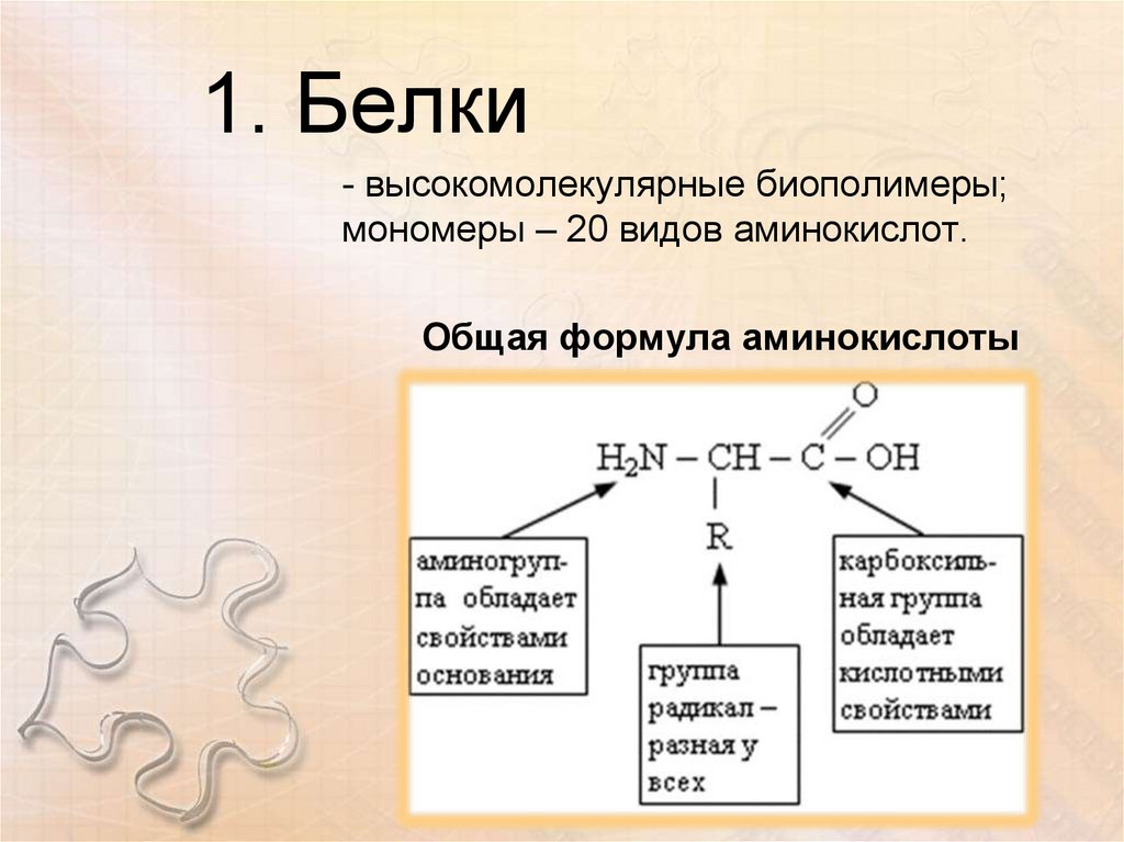 Группа соединения белков. Структура белков формула. Белки общая формула химия. Белки химия 10 класс формула. Общая структура белка.
