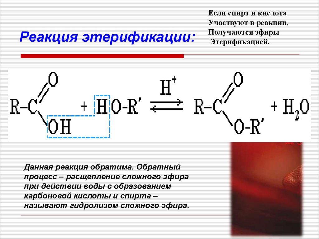 Гидролиз уксусно этилового эфира. Реакция этерификации карбоновых кислот. Этерификация формула. Этерификация сложных спиртов. Реакции этерификации в органической химии.