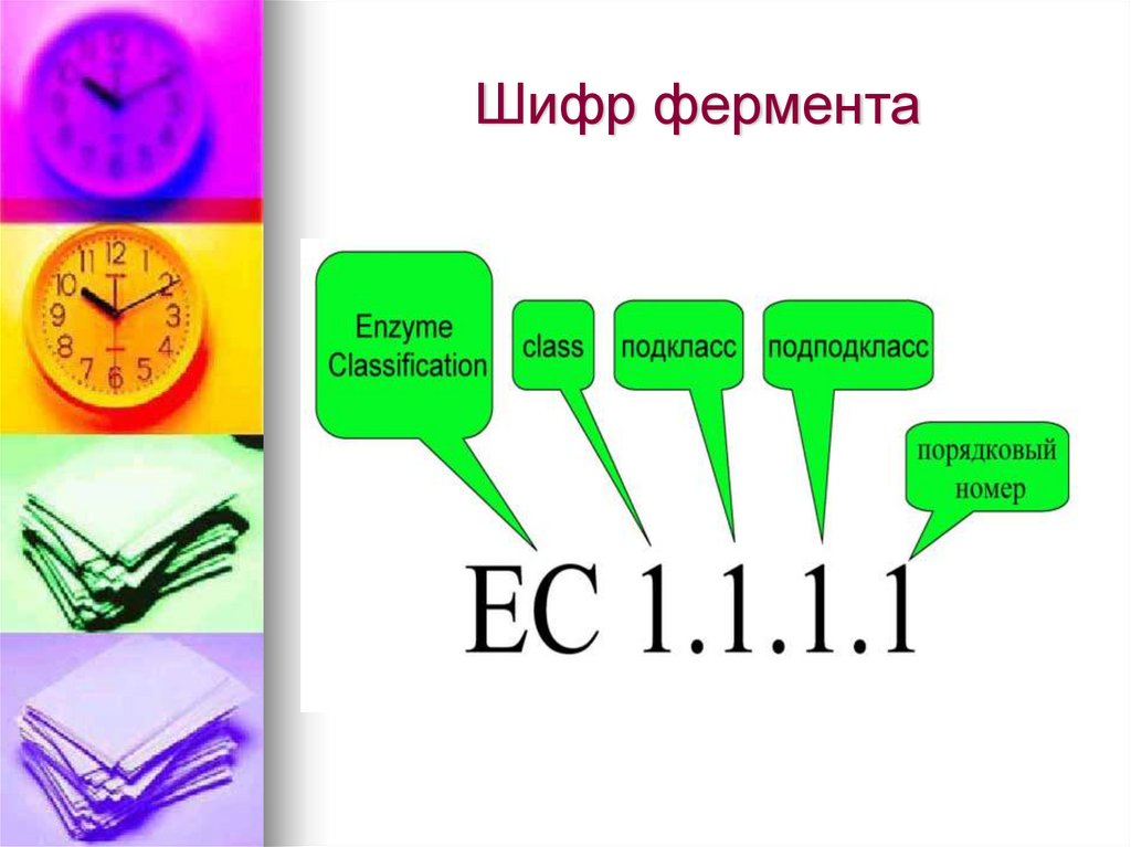 Ферменты биологические катализаторы презентация 10 класс пасечник линия жизни