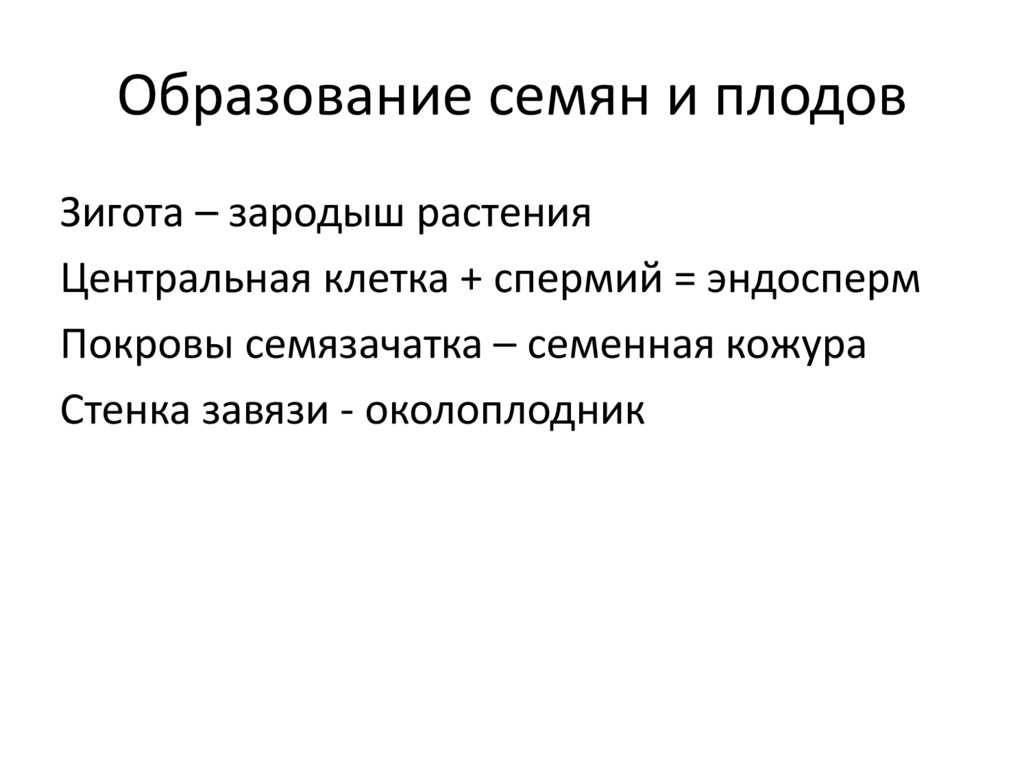 Образование плодов и семян. Индивидуальное развитие цветковых растений. Семя образуется. Семена образуются из.